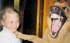 palpattine:  Ewan McGregor’s reaction to funny animal pictures. 