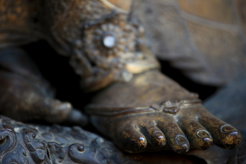 Ganga feet, Patan palace, Nepal