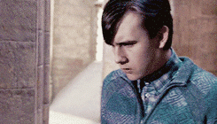 excepttheeyes:  Book Quotes: Order of the Phoenix - Christmas on the Closed WardNeville