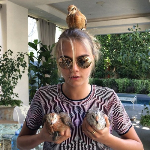 carawithlove: Cara Delevingne’s Wild Side. The best of top model Cara Delevingne’s funny