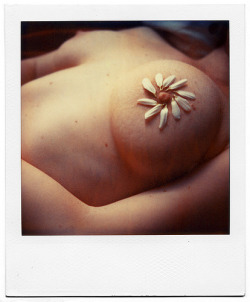 sexographies:  http://sexographies.tumblr.com/