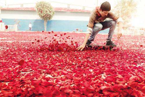 crawltowardsthemoon:ghostparties:“millions of flower petals erupt from a volcano, covering an 