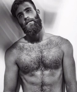 beardburnme:  Pelt