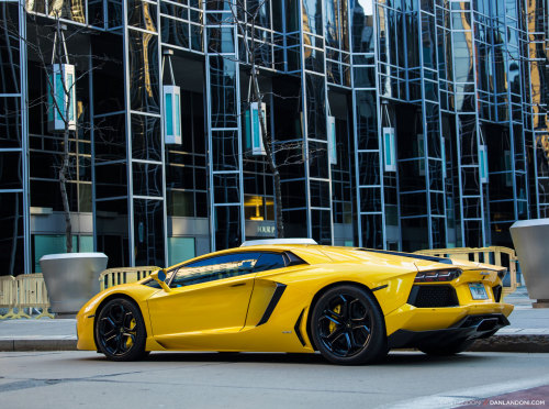 danlandoni:  Work hard, buy nice things. 