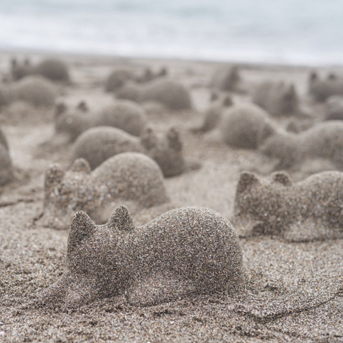 itscolossal:  Neko Cup Creates Adorable Napping Cat Sand Sculptures