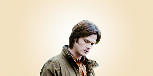 amelliwood:Dean: This is it.Sam: This is what?Dean: Team Free Will. One ex-blood junkie, one dropout