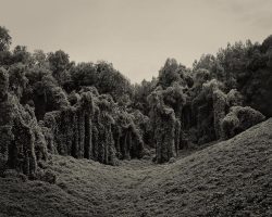 photojojo:  These eerie landscape photos by  Helene Schmitz look like scenes from an alien world, but they’re actually taken in the American South. The fast-growing Japanese vine known as  Kudzu has literally taken over parts of the southeast. Fascinated