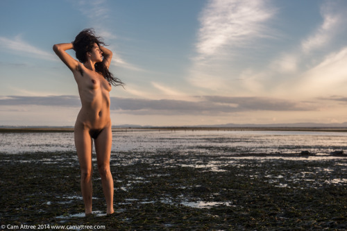 freyagallows: Cam Attree: Beachmere, QLD, Australia Freya Gallows  Freya Gallows by Cam At