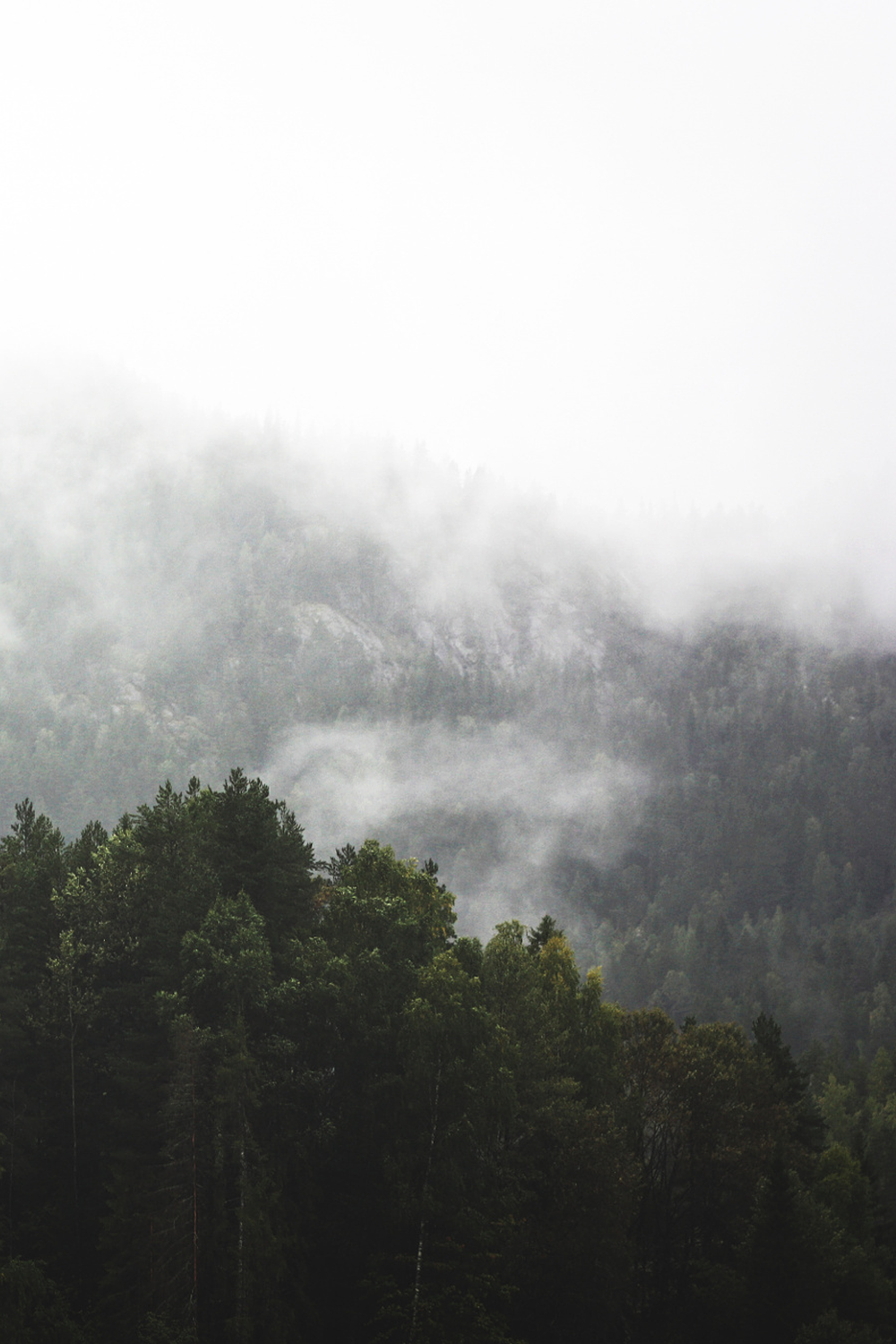 vxpo:  Norway by Kendall Plant | Vanity-Exposition