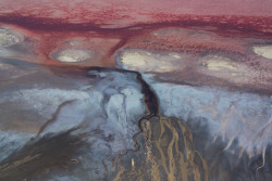 unrar:  Fresh water tributary on Lake Natron innundated by salty ground water, Kenya, George Steinmeitz. 