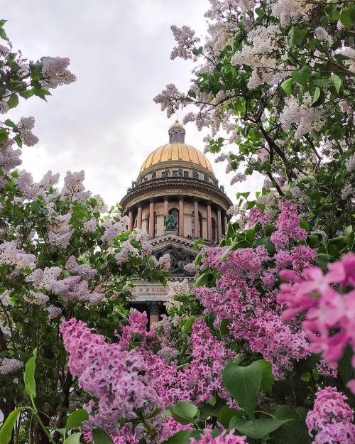 krasna-devica: Saint Petersburg, Russiaby Yuriy Ukhorskiy