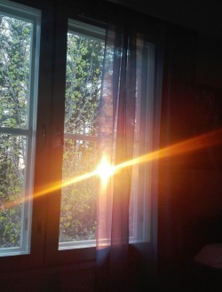 Featured image of post Aesthetic Sunset Window Tumblr / A subreddit for images without the strict rules on content that r/pics has.