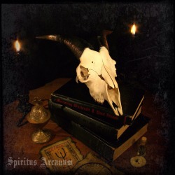 spiritusarcanum:  We just listed several goat skulls in our Etsy shop. The perfect gift for the person who has everything…except for a goat skull Available at www.SpiritusArcanum.com And be sure to use coupon code Black20 before Dec. 2nd to receive