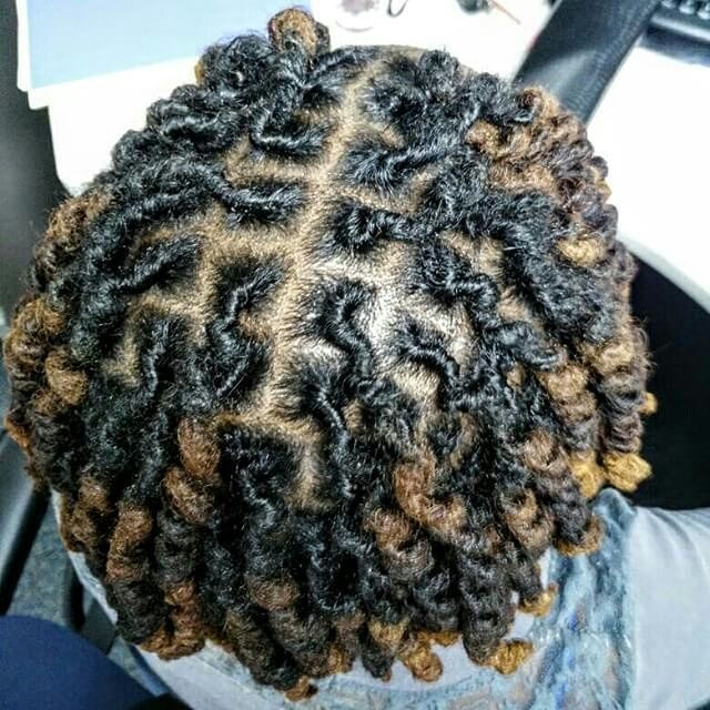 The Home of Locs on Tumblr: You've been featured @bebeali Locs on deck.  Three days old pipe cleaner curls. #palmroll #locs #pipecleaners #bebeali  #iamlocd