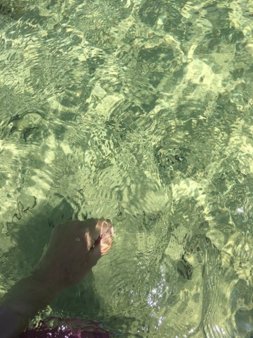  green water aesthetic // aesthetic dream 