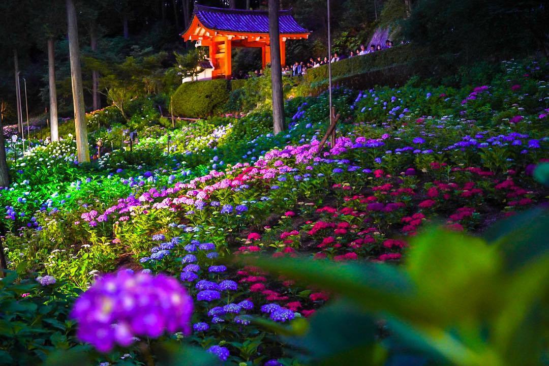 quiet-nymph:    Photography by photo_taku  