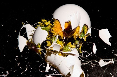 unicorn-meat-is-too-mainstream:American artist Jon Smith’s exploding lightbulb art