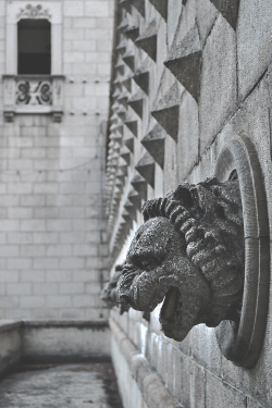 hashpe:  Stone Lion | © | HP 