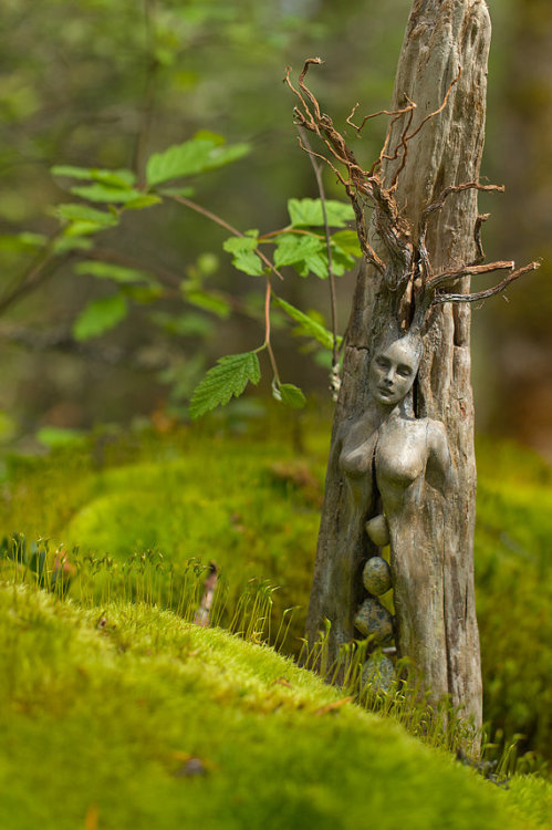 Driftwood Sculptures by Shaping Spirit