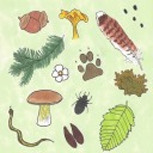 Rebeccathenaturalist:hero Dog? How To Prevent Dog-Wildlife Conflictsoriginally Posted