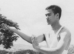 rootsofcombat2:  Wing Chun legends 