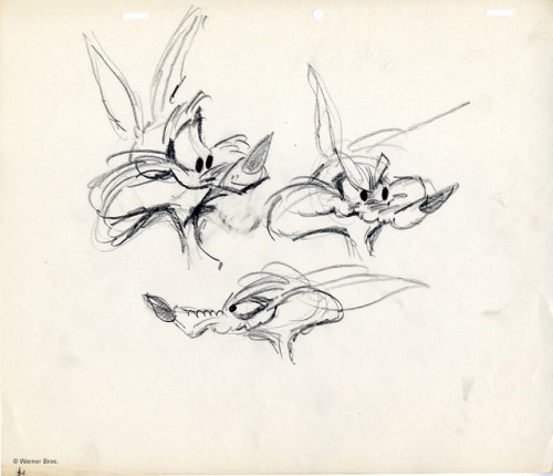 Wile E. Coyote and Road Runner drawings by Chuck Jones.