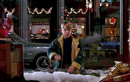 Sex stars-bean:  Home Alone 2: Lost in New York pictures