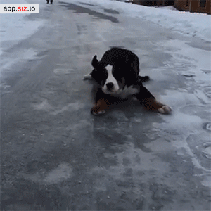 dom-wolfy:   Video  On my way to steal your girl.