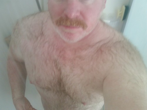 felixpiz:  thebigbearcave:  I guess it is HairyRedThursday (so beautiful, I can’t stop posting him)  yes I want him like that!!!