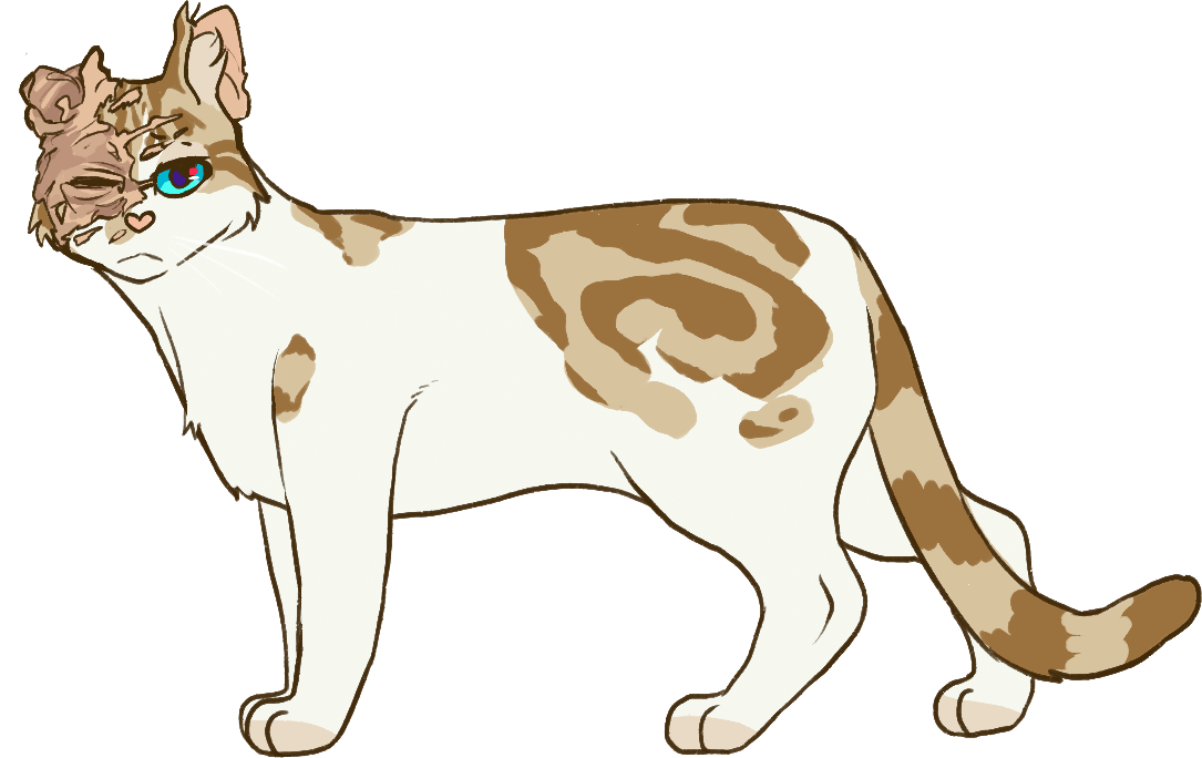 Shadowclan maybe did Something Wrong — a-warriors-journey: Beetlecrawl  he/him