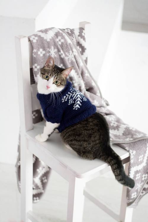 littlealienproducts:Cat Snowflake Sweater byMerrycatShop