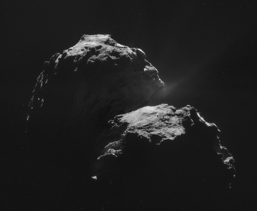 spaceexp:  Comet 67P as seen by Rosseta on the 4th of November via reddit 