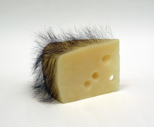 my-kelde: Robert Gober. Short Haired Cheese, 1992- 1993. beeswax, human hair 