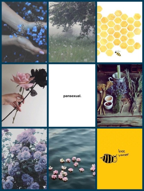 pridesthetics - pansexual (no flag) + bees + garden + witchy...