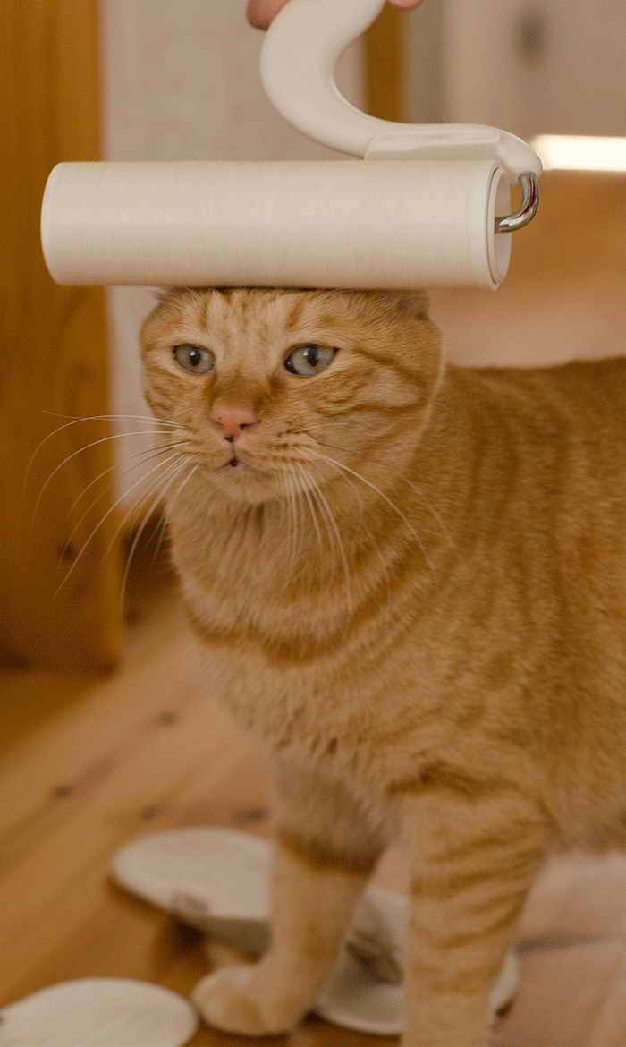 CATANIST
