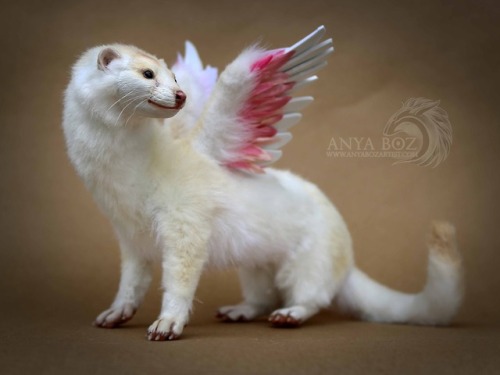 anyaboz:Winged Mink Room GuardianCommission NFSHoly Moly I am in love with this little mink! I don’t