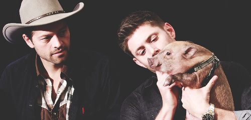 jensenacklesmishacollins:  [x]                 