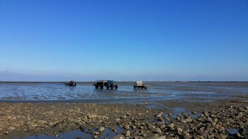 The passage du Gois connecting Noirmoutier Island to the mainland (Vendée),February 2018