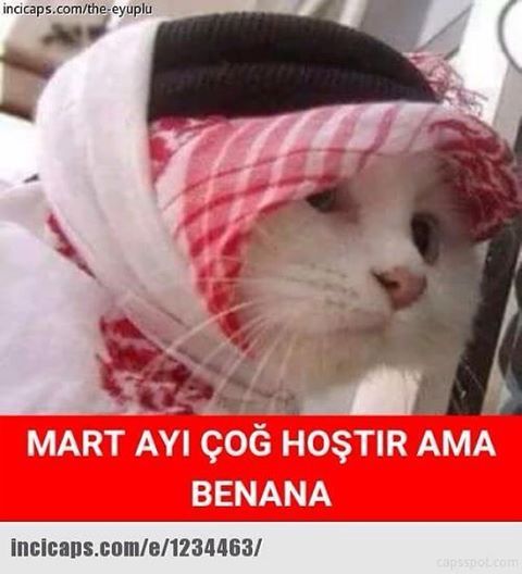 MART AYI ÇOĞ HOŞTIR AMA BENANA