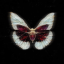 cherry-girl-wl