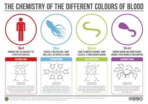 compoundchem:  For Halloween, you may well be making use of fake blood as part of your costume. Blood’s always red, right? WRONG. Here’s a look at the range of different colours of blood in different organisms, and the chemicals behind them. Larger