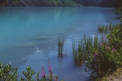 lifeof-ty:  The most beautiful 5 hour hike leading to a tea house in the mountains   🔹