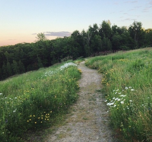 ingelnook:paths to nowhere @WeHeartIt