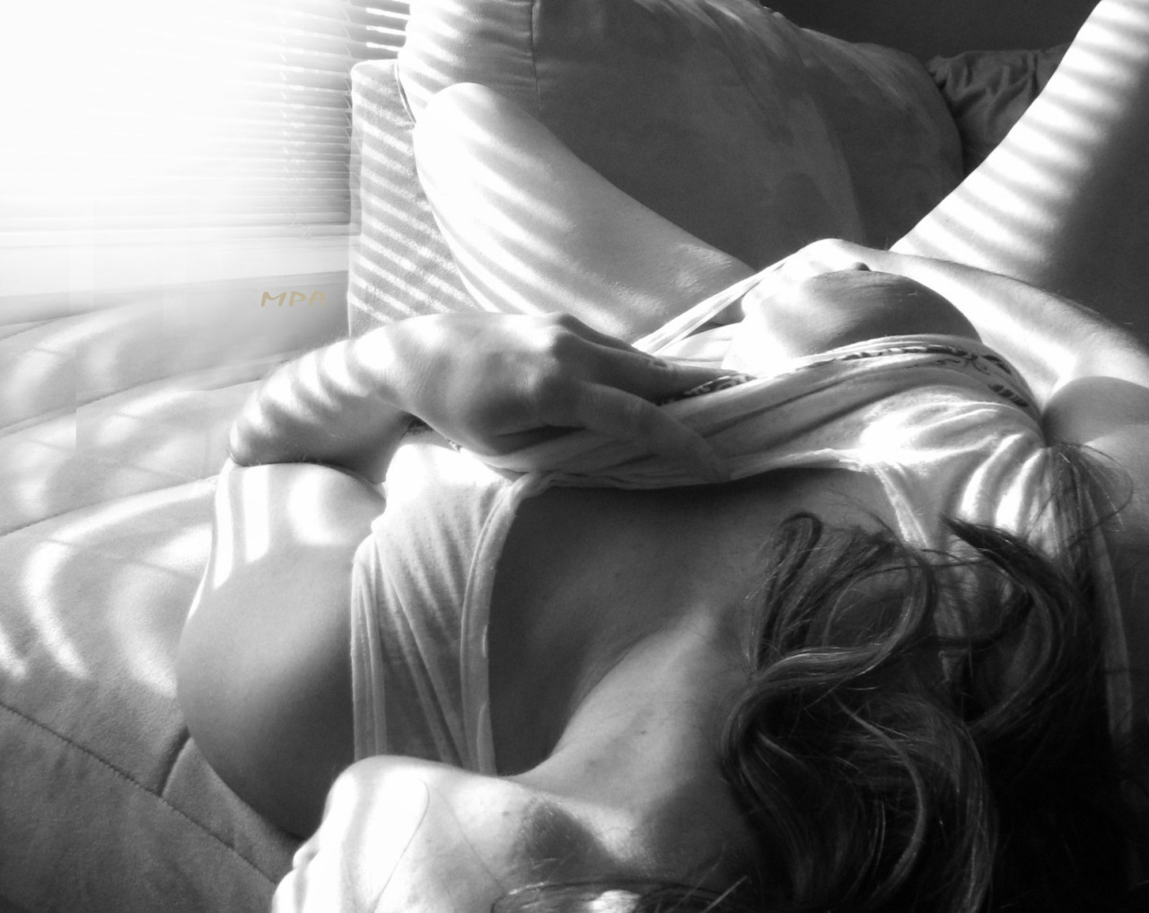 asleepylioness:   Oh Lioness, Saturday I was in quite a tither, a tease, a state