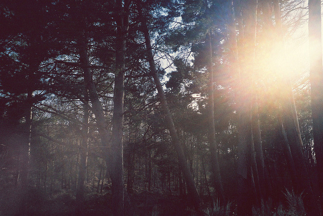 oix:  untitled by igor termenón on Flickr.    