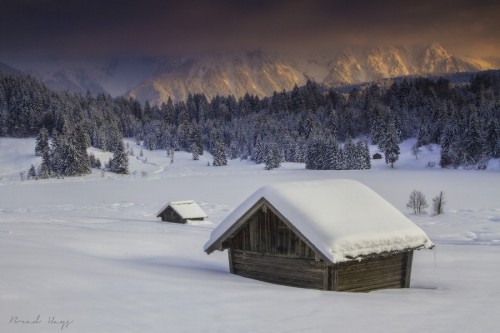 morethanphotography:  winter gerold by brad_hays