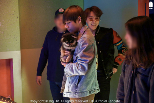 vanillataehyung - Tae's Bae or Jungkook's bae? Idek anymore 🌹