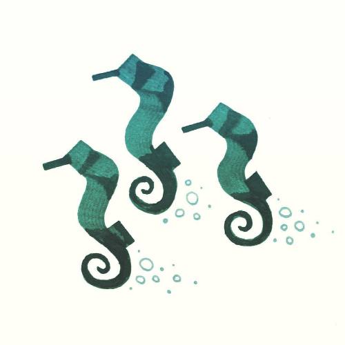 ihatepeas:  Calligraphy Seahorses #calligraphy porn pictures