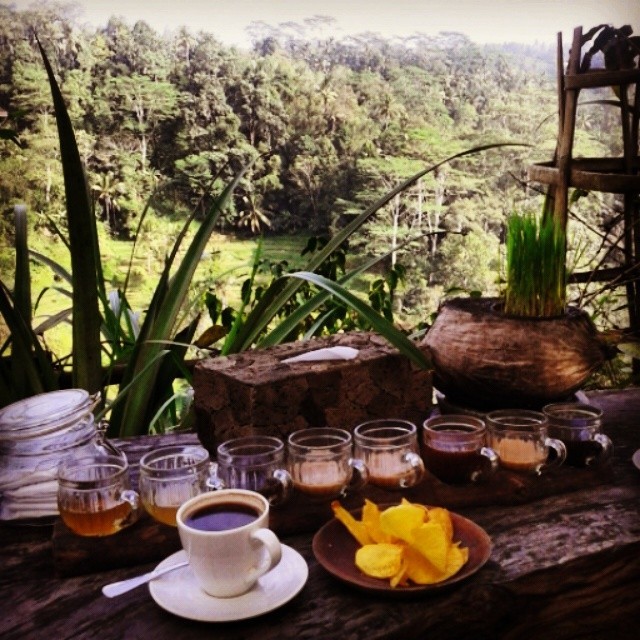 Enjoying my very special Luwak coffee along with some of Bali’s tea and caffeine offerings overlooking this fantastic view.
#asia #bali #coffee #travel #instatravel #indonesia #wanderlust #food #foodporn (at Bali Pulina, Tegal Lalang-bali)