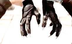 itironman:    The Black Panther has been a protector of Wakanda for generations.